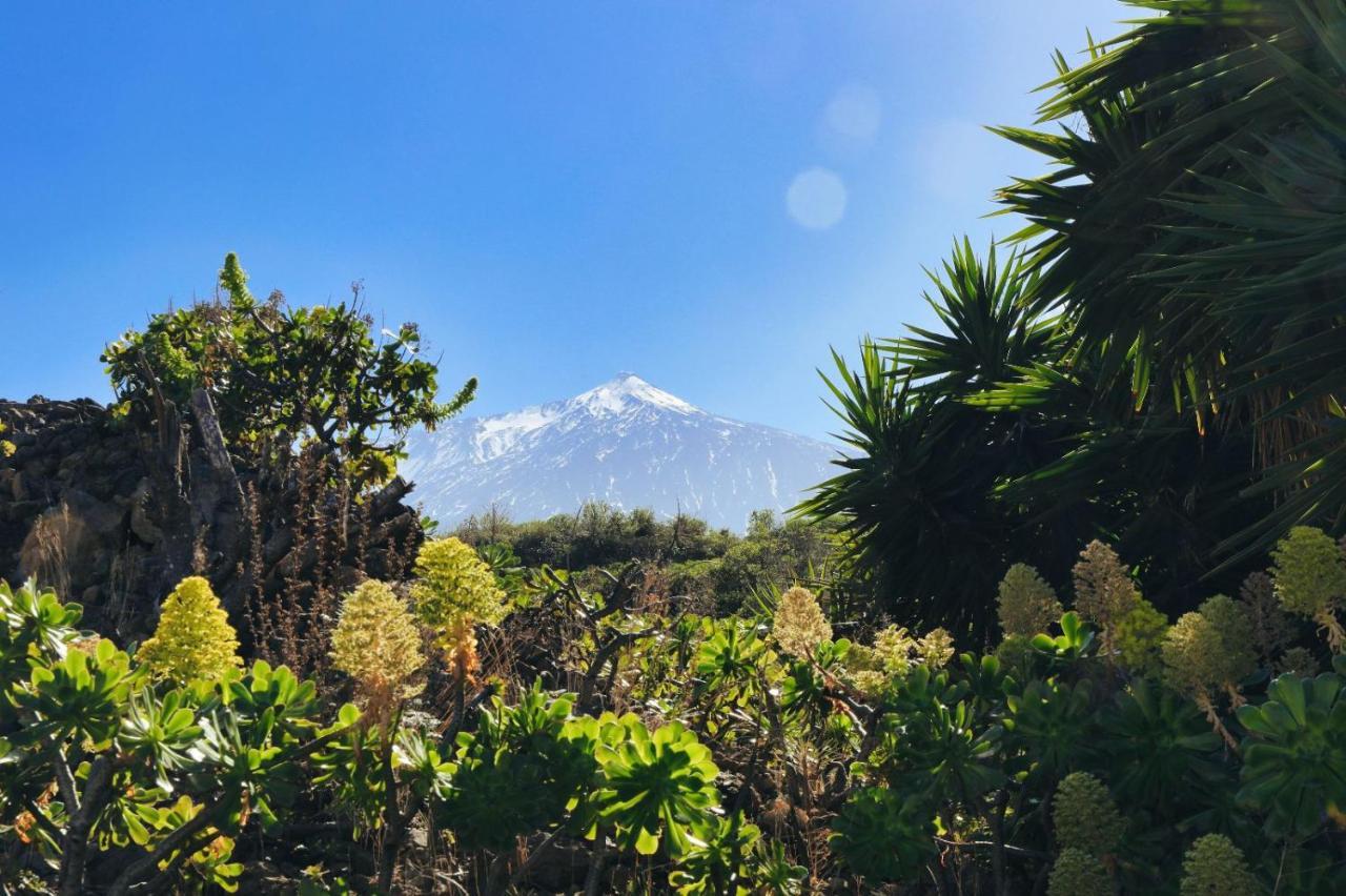 Finca Vino Tinto 5S Icod De Los Vinos Dış mekan fotoğraf